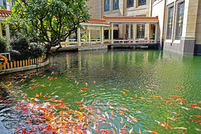 ԰��ˮ������ 