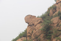 �������