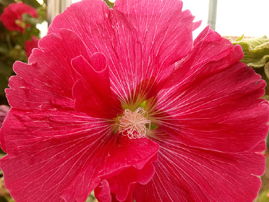 �����Ĵ��񼾻�