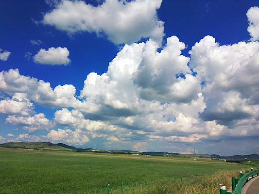 ������Ʋݵ�