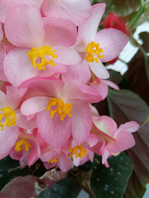 һ���ﺣ�ĵķ�ɫ��