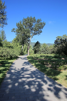 �����ֲ��԰