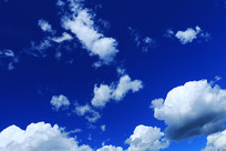 �����ƾ�