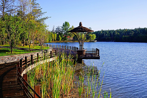 �����ɺ�ջ��ͤ�� 