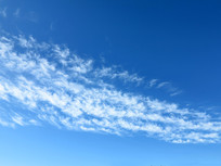 ������Ʒ羰