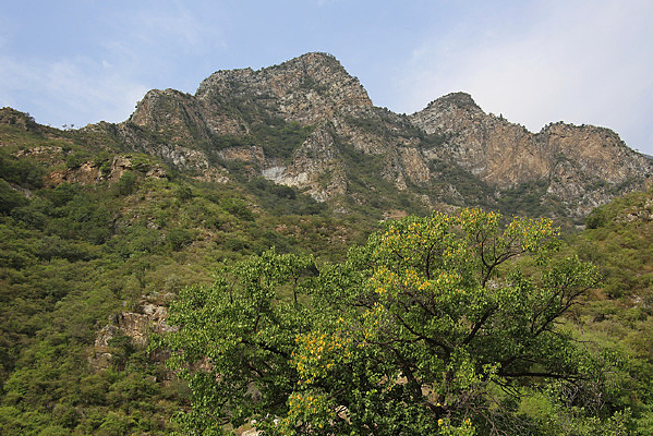 ����ʥ��ɽ��