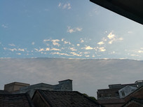 ������ľ�ɫ