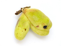 ��ҩ���屶�Ӱ׵�ͼ