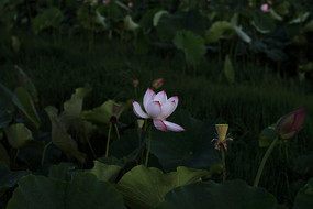 ���������ĺɻ� 