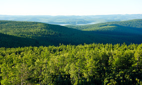 �˰���ԭʼ��