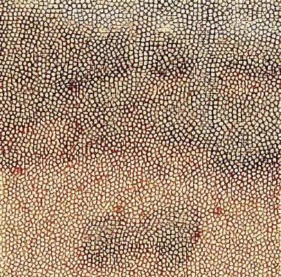 ��ɫƤ�������ߵ�ͼ