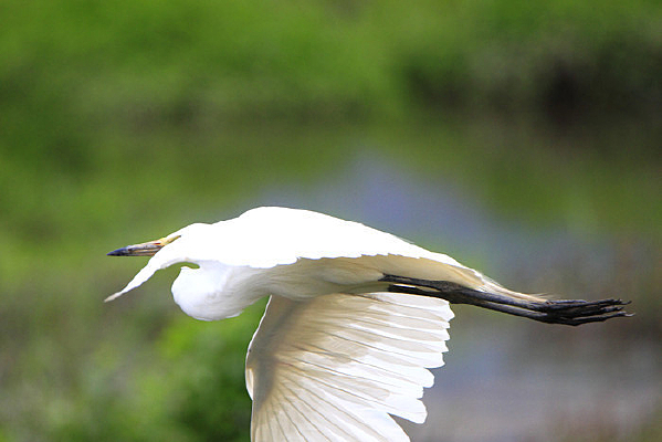 �ͻ���������� 