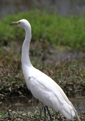 ��ׯ����� 