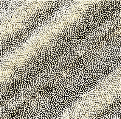 ��ɫƤ�������ߵ�ͼ