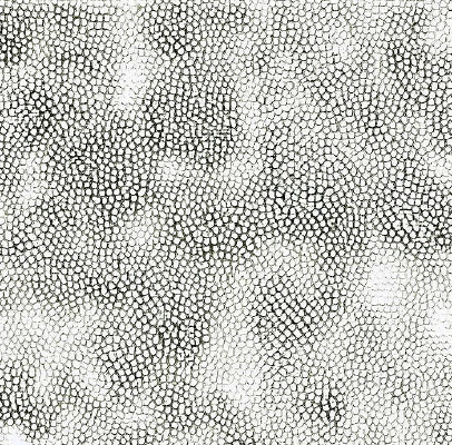 ��ɫƤ�������ߵ�ͼ