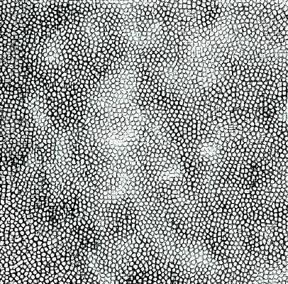 ��ɫƤ�������ߵ�ͼ