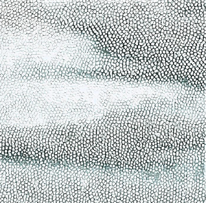 ��ɫƤ�������ߵ�ͼ