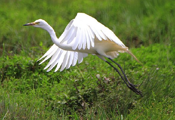 ����չ������