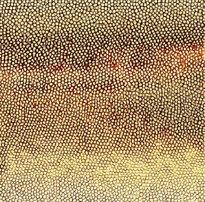 ���ɫƤ�������ߵ�ͼ