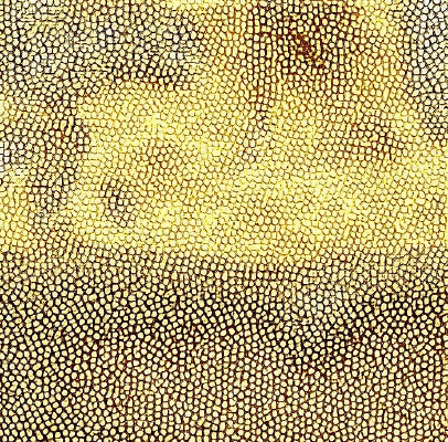 ��ɫƤ�������ߵ�ͼ