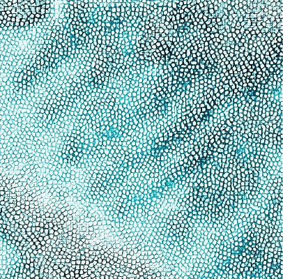 ��ɫƤ�������ߵ�ͼ