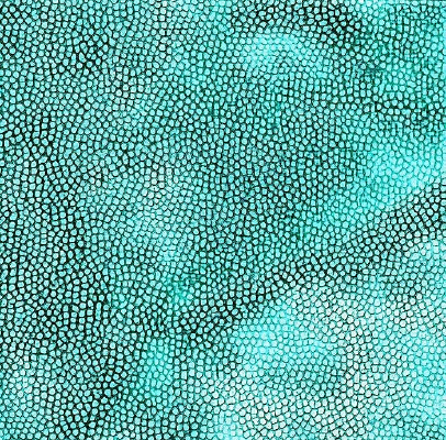 ��Ƥ�������ߵ�ͼ