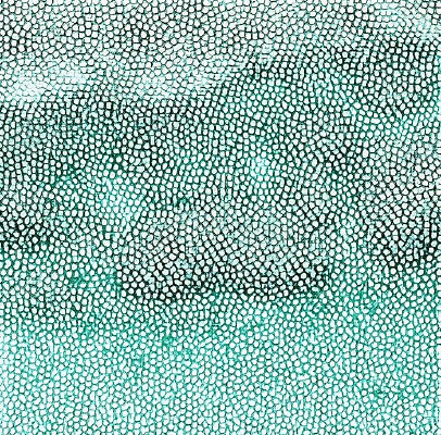 ��ɫƤ�������ߵ�ͼ