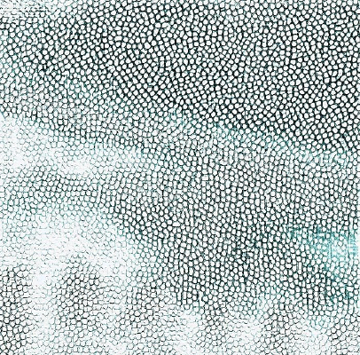 ǳ��ɫƤ�������ߵ�ͼ