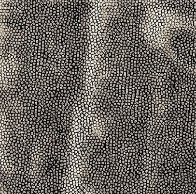 ���ɫƤ�������ߵ�ͼ