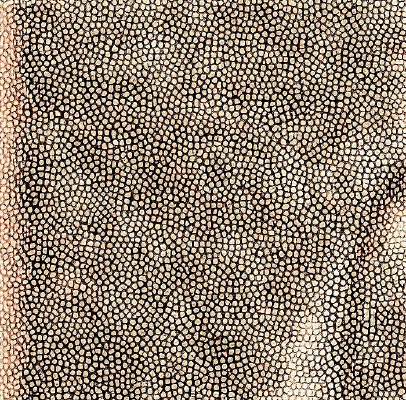 ��ɫƤ�������ߵ�ͼ