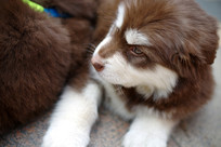 ����Ȯ��Ȯ