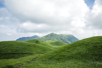 ��ɽ�����Ĳݳ� 