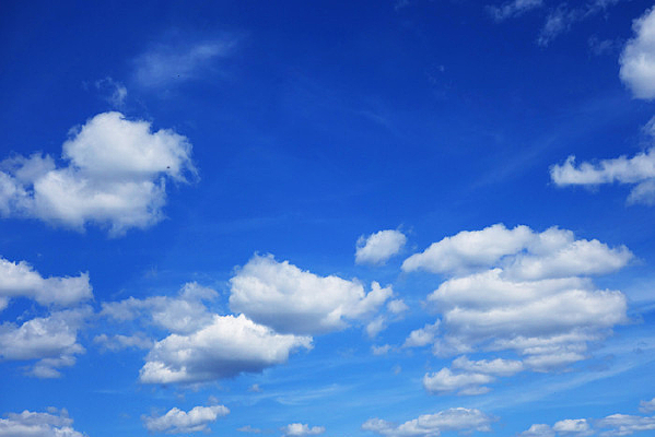 ���� ����