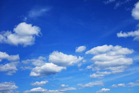 ���� ����