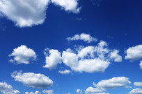 �����ƶ�