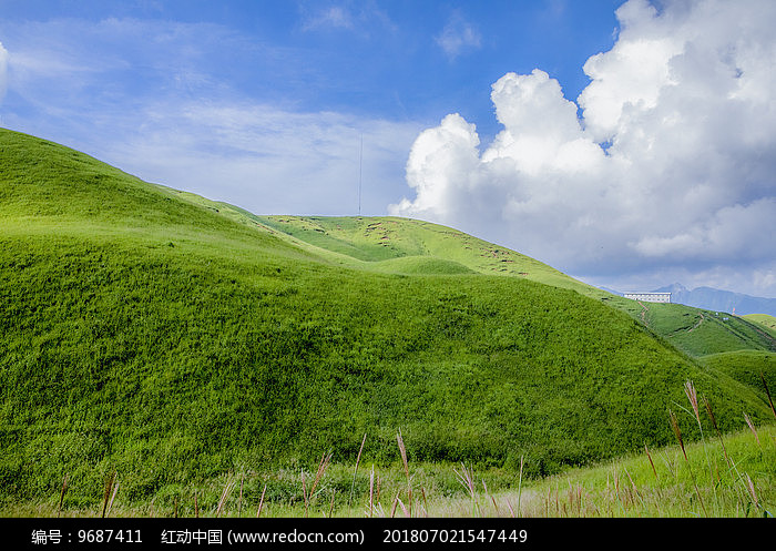 美丽的高山草原