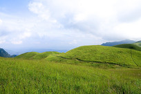 ɽ��������