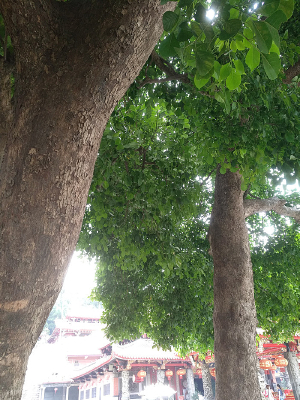 �����������������