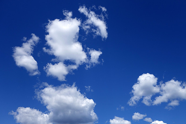 ε������ƾ�