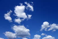 ε������ƾ�