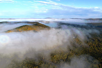 �����ֺ����� 