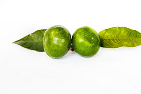 ��ֻ�����