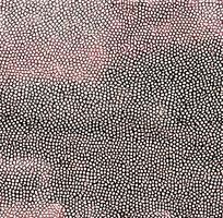 ��ɫƤ�������ߵ�ͼ