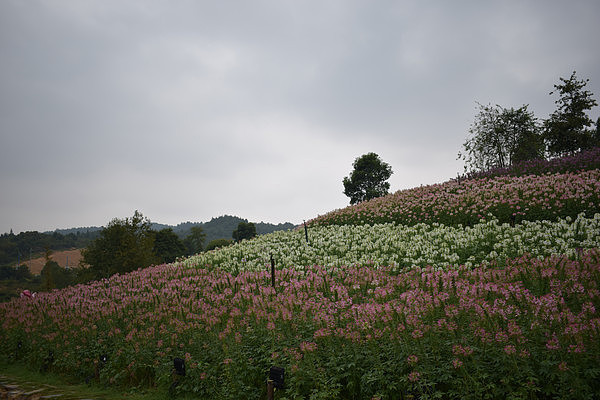 ���ܺ���