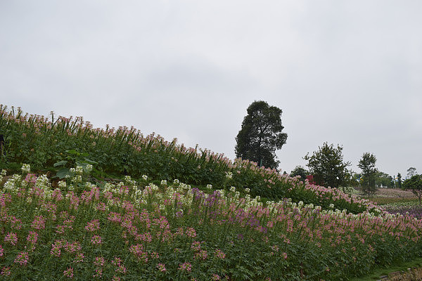 ���ܺ���