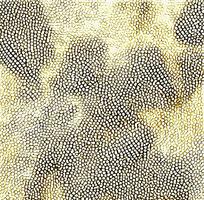 ��Ƥ�������ߵ�ͼ