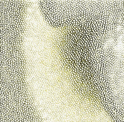 ��ɫƤ�������ߵ�ͼ