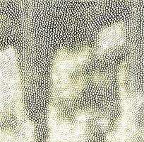 ��ɫƤ�������ߵ�ͼ