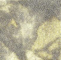 ��ɫƤ�������ߵ�ͼ