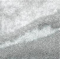 ����ɫƤ�������ߵ�ͼ